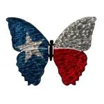 Butterflies Jeweled Steel by Broussard